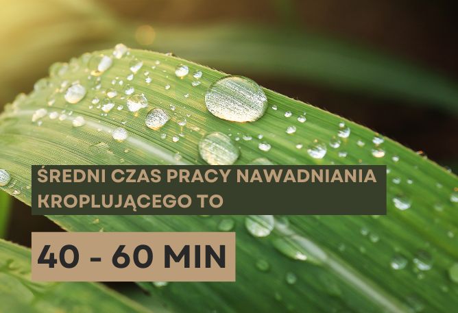 nawadnianie kropelkowe